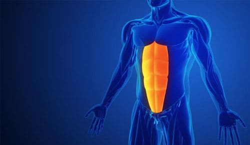 Cách Có 6 Múi Đẹp và Nhanh Nhất: Phương Pháp Tạo Hình Bụng Sáu Múi